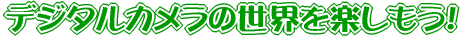���Õi�̏��ȑI�ѕ� 